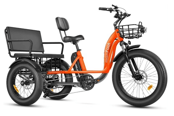 Maxfoot Landau Electric Trike