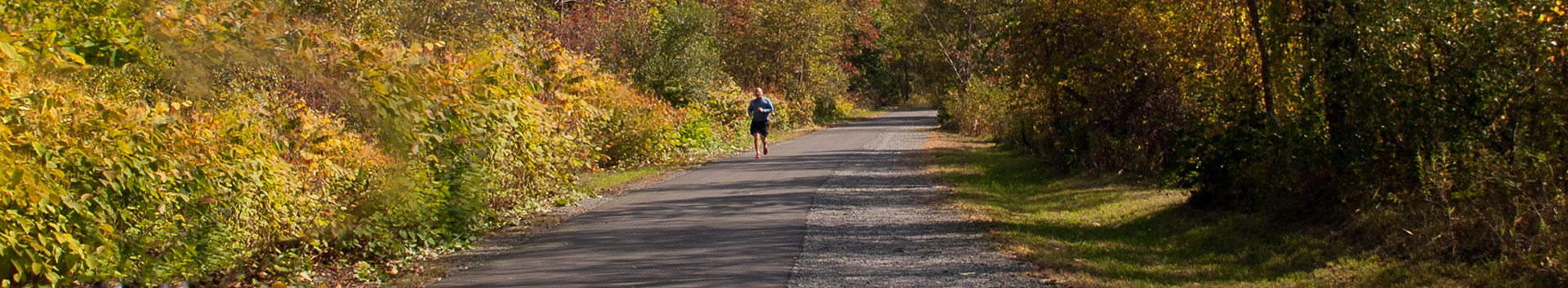 LHV's non-profit partner to support development efforts and to increase public awareness of the mission and goals of Lackawanna Heritage Valley.