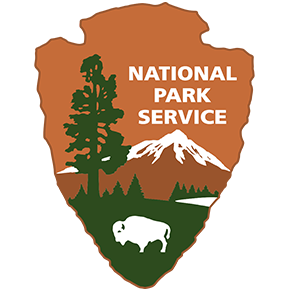 NPS